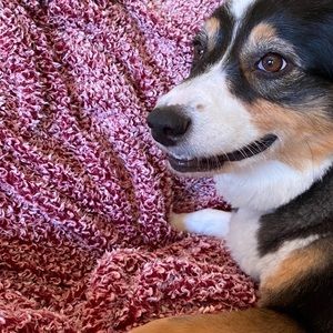 Meet your Posher, Cory